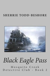 bokomslag Black Eagle Pass