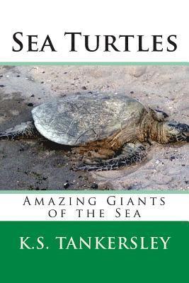 Sea Turtles 1