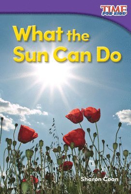 Sharon Coan - What the Sun Can Do, Häftad