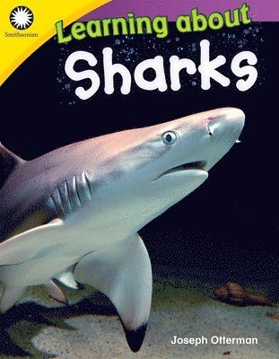 Joseph Otterman - Learning about Sharks, Häftad