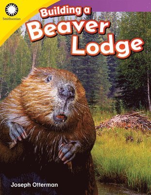 Joseph Otterman - Building a Beaver Lodge, Häftad
