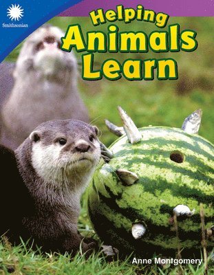 Anne Montgomery - Helping Animals Learn, Häftad