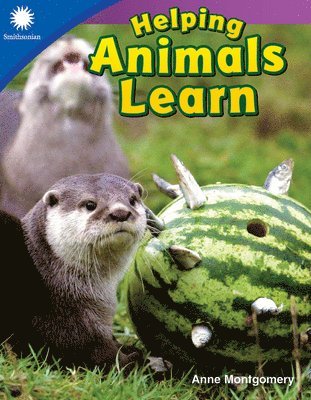 Helping Animals Learn 1