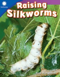 bokomslag Raising Silkworms