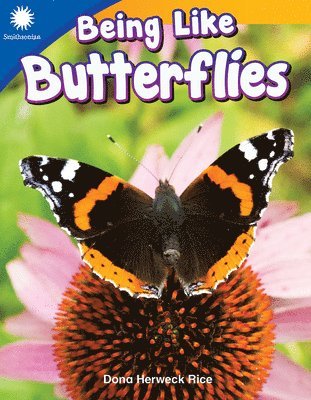 Being Like Butterflies 1