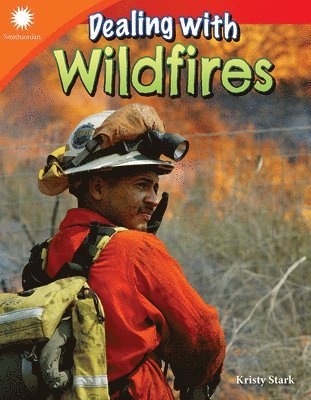 Dealing with Wildfires 1