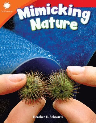 Heather E. Schwartz, Heather Schwartz - Mimicking Nature, Häftad