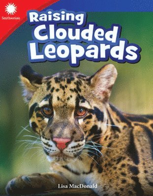 Lisa Steele MacDonald, Lisa MacDonald, Lisa Macdonald - Raising Clouded Leopards, Häftad