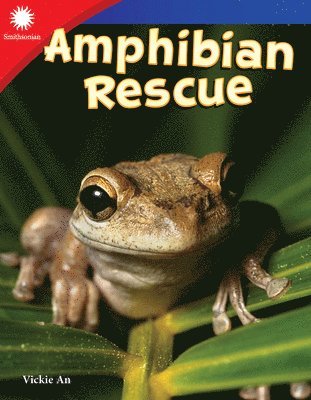 bokomslag Amphibian Rescue