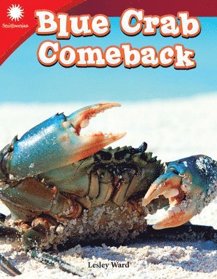 bokomslag Blue Crab Comeback