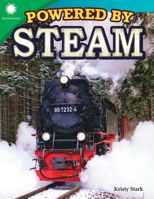 Powered by Steam 1