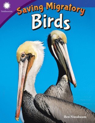 Saving Migratory Birds 1