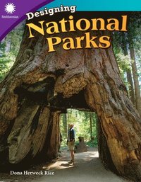 bokomslag Designing National Parks