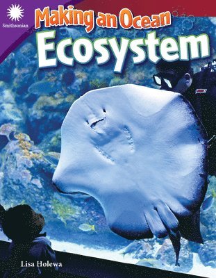 Making an Ocean Ecosystem 1