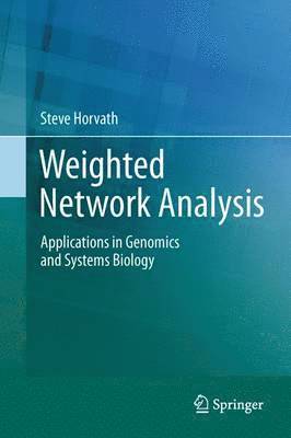 bokomslag Weighted Network Analysis