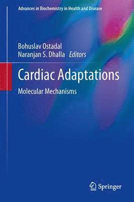 bokomslag Cardiac Adaptations