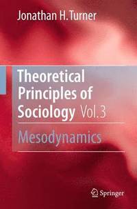 bokomslag Theoretical Principles of Sociology, Volume 3