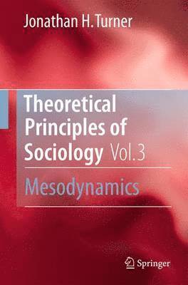 bokomslag Theoretical Principles of Sociology, Volume 3