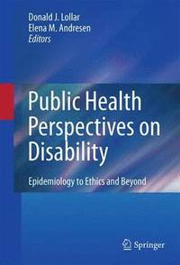 bokomslag Public Health Perspectives on Disability