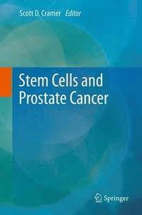 bokomslag Stem Cells and Prostate Cancer