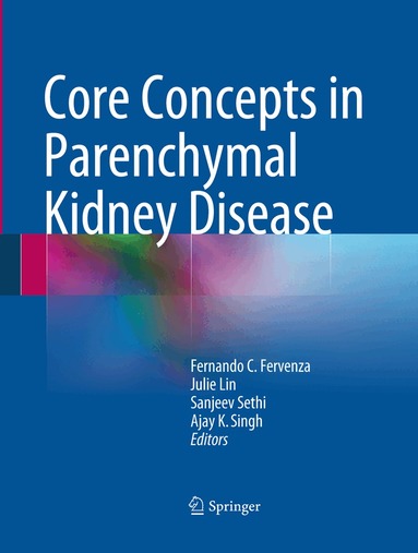 Fernando C. Fervenza, Julie Lin, Sanjeev Sethi, Ajay K. Singh - Core Concepts in Parenchymal Kidney Disease, Häftad