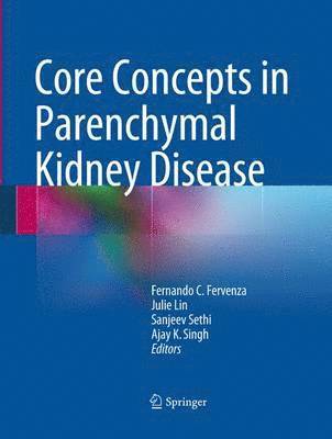 Fernando C. Fervenza, Julie Lin, Sanjeev Sethi, Ajay K. Singh - Core Concepts in Parenchymal Kidney Disease, Häftad