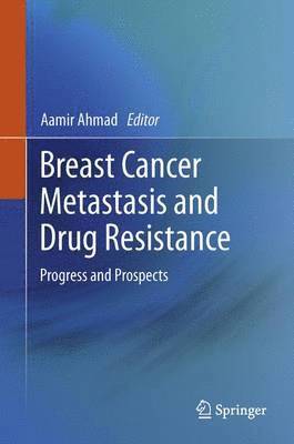 Aamir Ahmad - Breast Cancer Metastasis and Drug Resistance: Progress and Prospects, Häftad