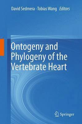 Ontogeny and Phylogeny of the Vertebrate Heart 1