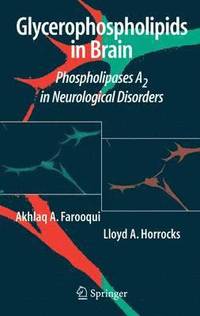 bokomslag Glycerophospholipids in the Brain