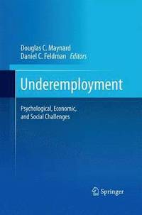 bokomslag Underemployment
