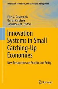 bokomslag Innovation Systems in Small Catching-Up Economies