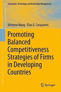 bokomslag Promoting Balanced Competitiveness Strategies of Firms in Developing Countries