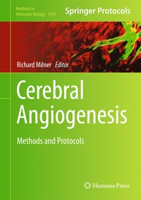 bokomslag Cerebral Angiogenesis