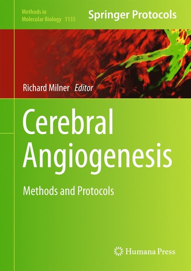 bokomslag Cerebral Angiogenesis