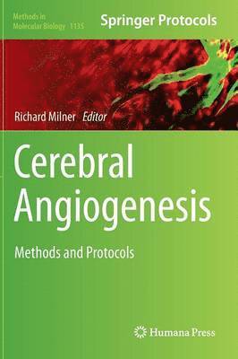 Cerebral Angiogenesis 1