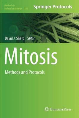Mitosis 1