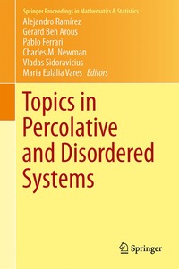 bokomslag Topics in Percolative and Disordered Systems