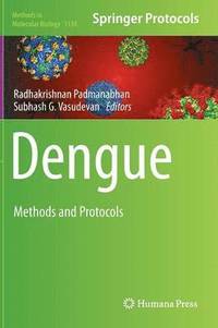 bokomslag Dengue