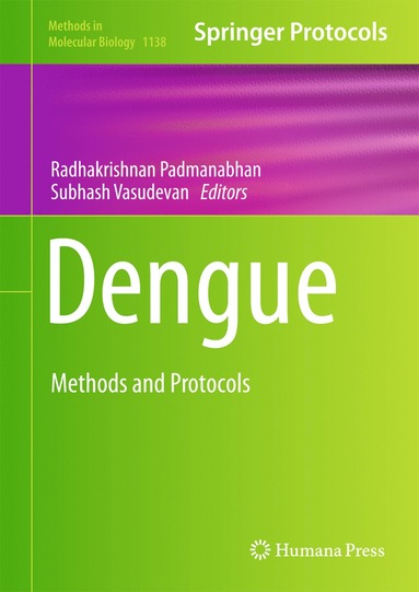 bokomslag Dengue