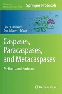 bokomslag Caspases,Paracaspases, and Metacaspases