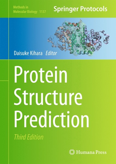 bokomslag Protein Structure Prediction