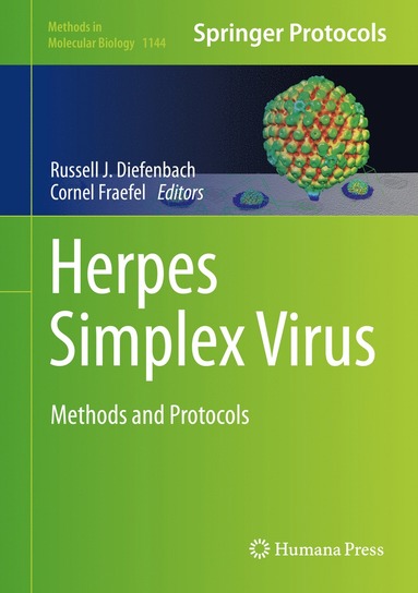 bokomslag Herpes Simplex Virus