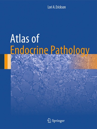 bokomslag Atlas of Endocrine Pathology