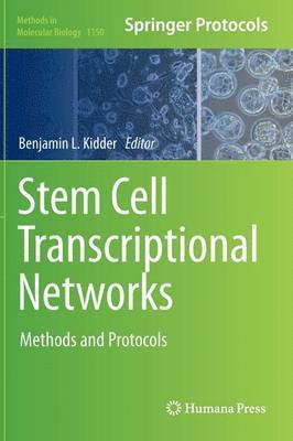 bokomslag Stem Cell Transcriptional Networks