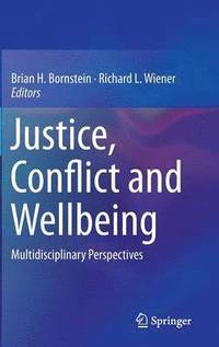 bokomslag Justice, Conflict and Wellbeing