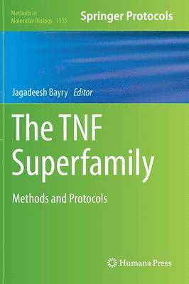 The TNF Superfamily 1