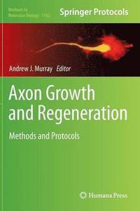 bokomslag Axon Growth and Regeneration