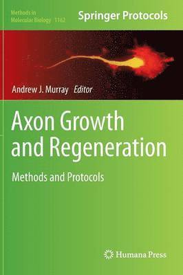 Axon Growth and Regeneration 1