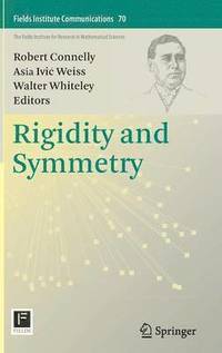 bokomslag Rigidity and Symmetry