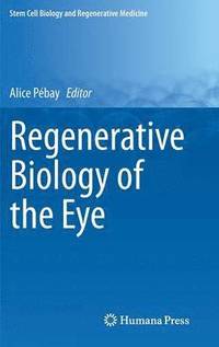 bokomslag Regenerative Biology of the Eye